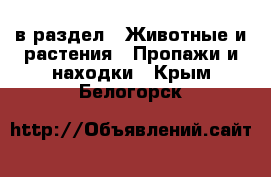  в раздел : Животные и растения » Пропажи и находки . Крым,Белогорск